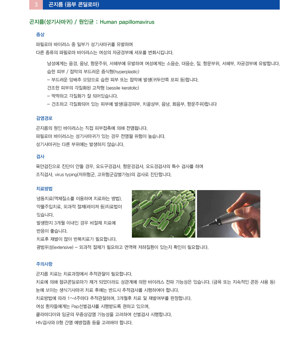 성매개체 감염